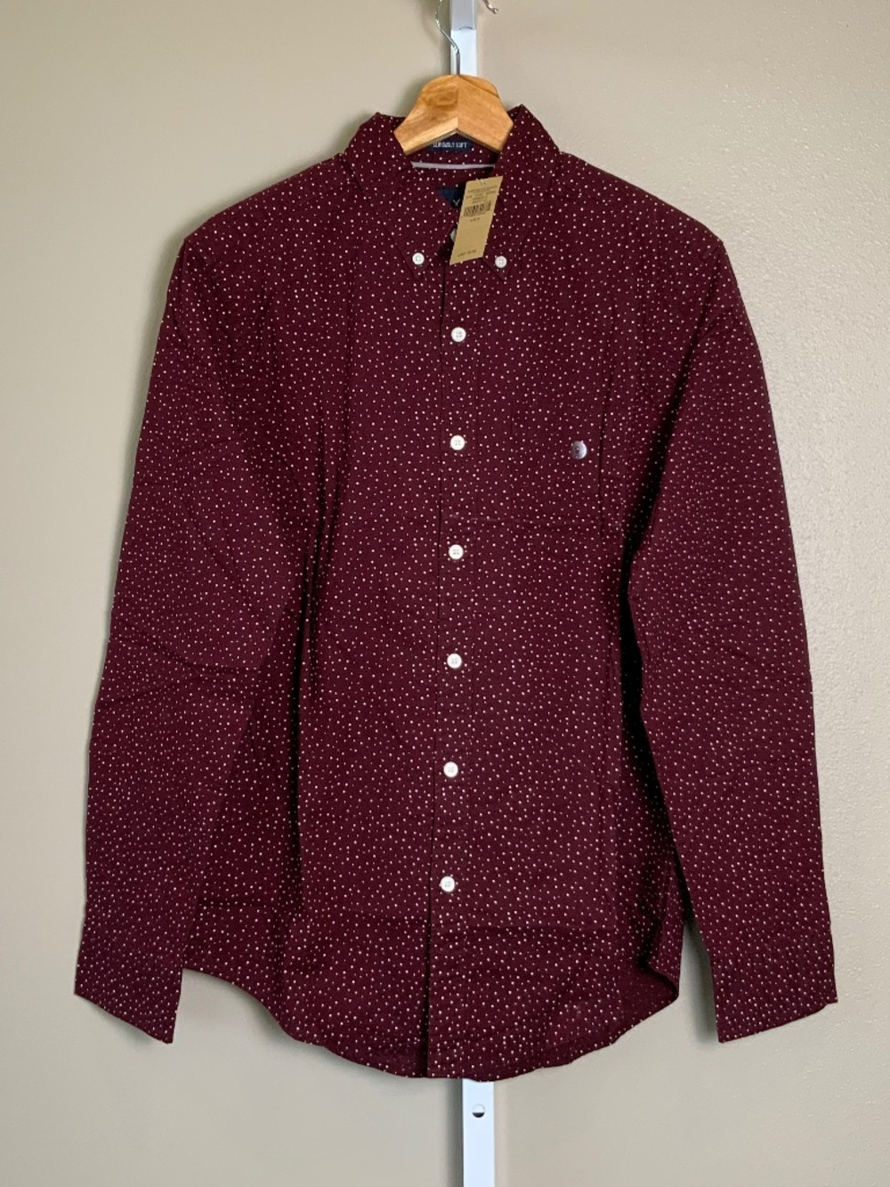 American Eagle Outfitters Seriously Soft Polka Dot Button Down Oxford Shirt